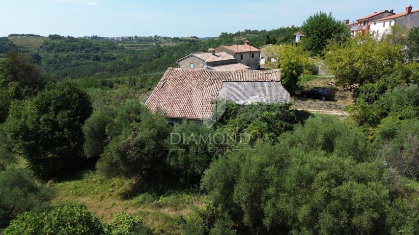 Cerovlje, surroundings, property with two stone houses and olive groves on a building plot