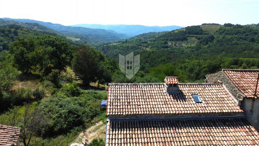 Cerovlje, surroundings, property with two stone houses and olive groves on a building plot