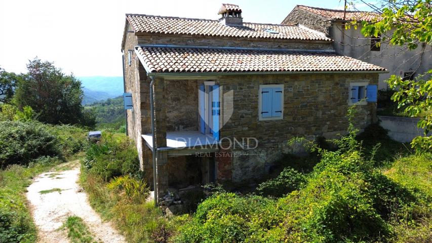 Cerovlje, surroundings, property with two stone houses and olive groves on a building plot