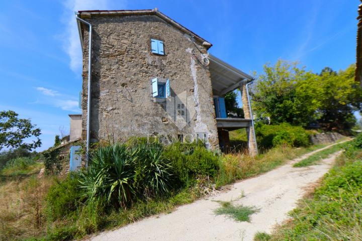 Cerovlje, surroundings, property with two stone houses and olive groves on a building plot