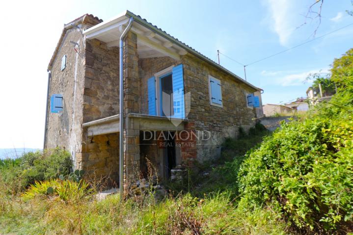 Cerovlje, surroundings, property with two stone houses and olive groves on a building plot