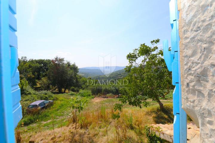 Cerovlje, surroundings, property with two stone houses and olive groves on a building plot