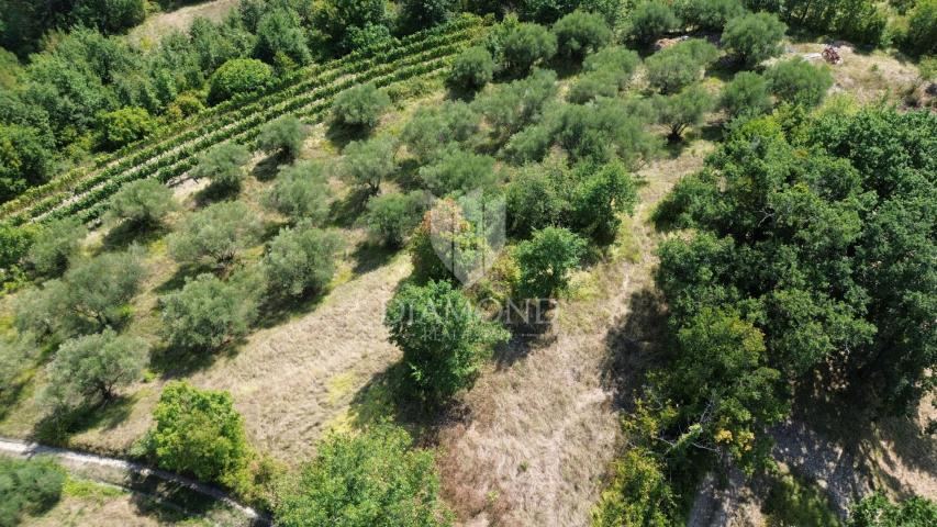 Cerovlje, surroundings, building plot with a beautiful view