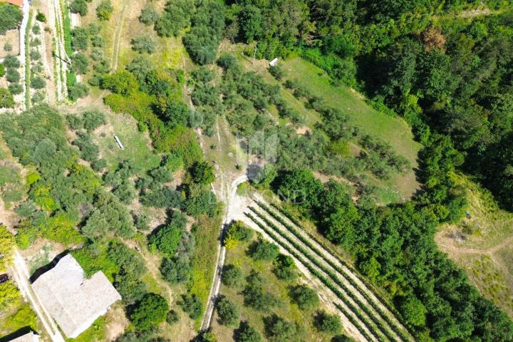 Cerovlje, ancient stone house for adaptation in a beautiful location