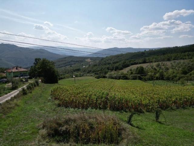 Prodaje se polj. gazdinstvo sa 3 objekta , 11, 92 ha, Taševo, Prijepolje