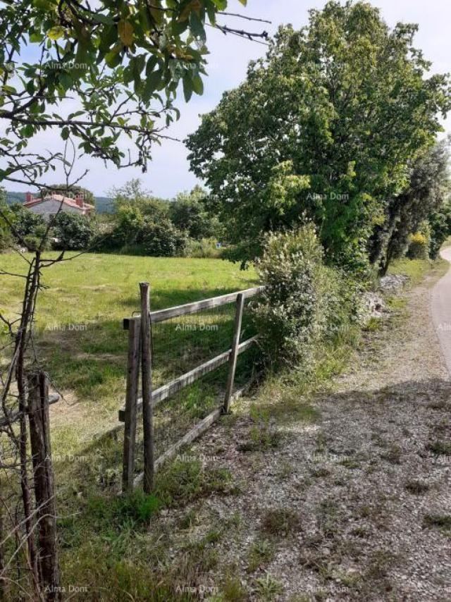 Kuća Prodaju se tri atraktivne građevinske parcele, sa manjom kućicom. 