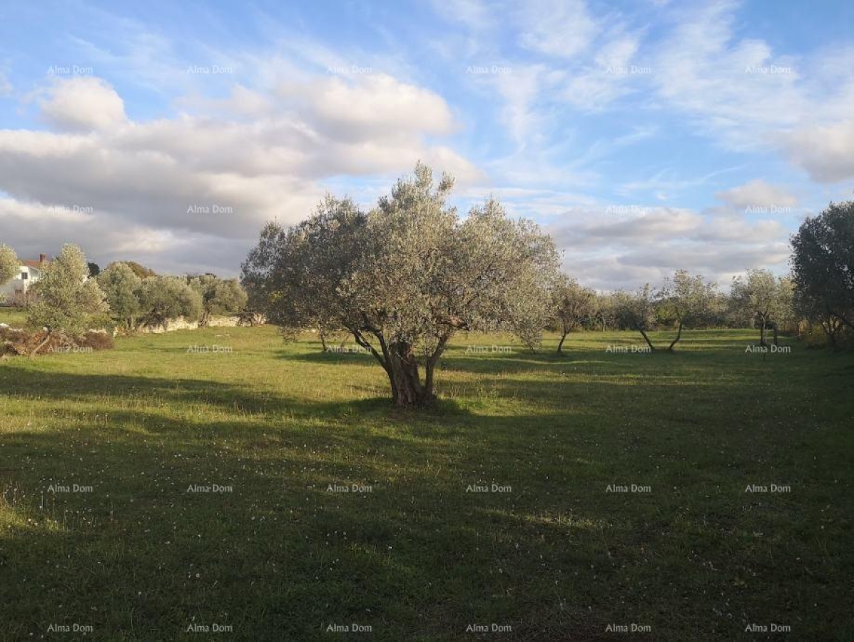 Građevinsko zemljište Prodaja građevinskog zemljišta sa pogledom na more, Fažana!