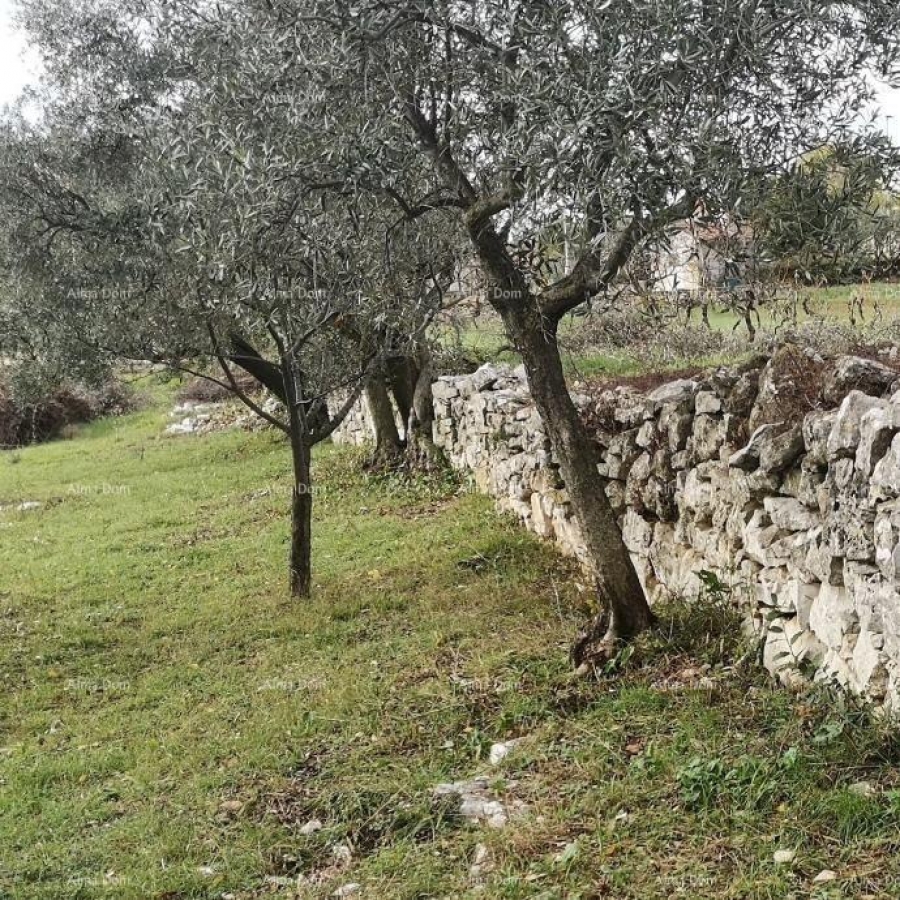 Građevinsko zemljište Prodaja građevinskog zemljišta sa pogledom na more, Fažana!