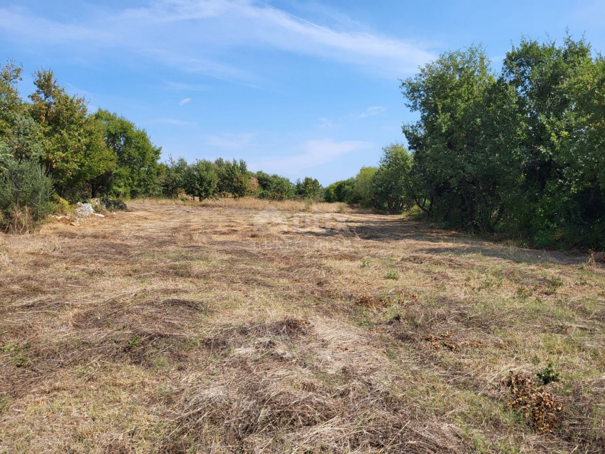 ISTRA, MARČANA - Građevinsko i poljoprivredno zemljište 