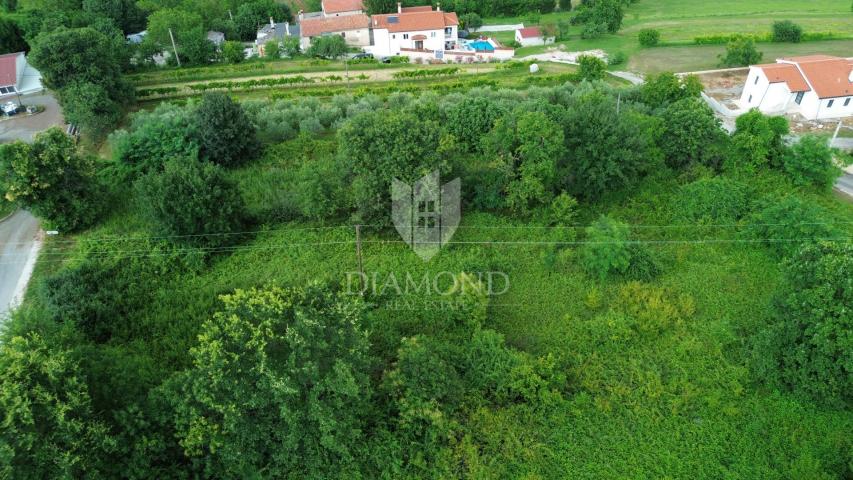 Pićan, spacious building plot in a beautiful location