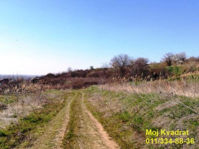 Palilula, Višnjica - Potes Vinogradi, plac 19. 957ari