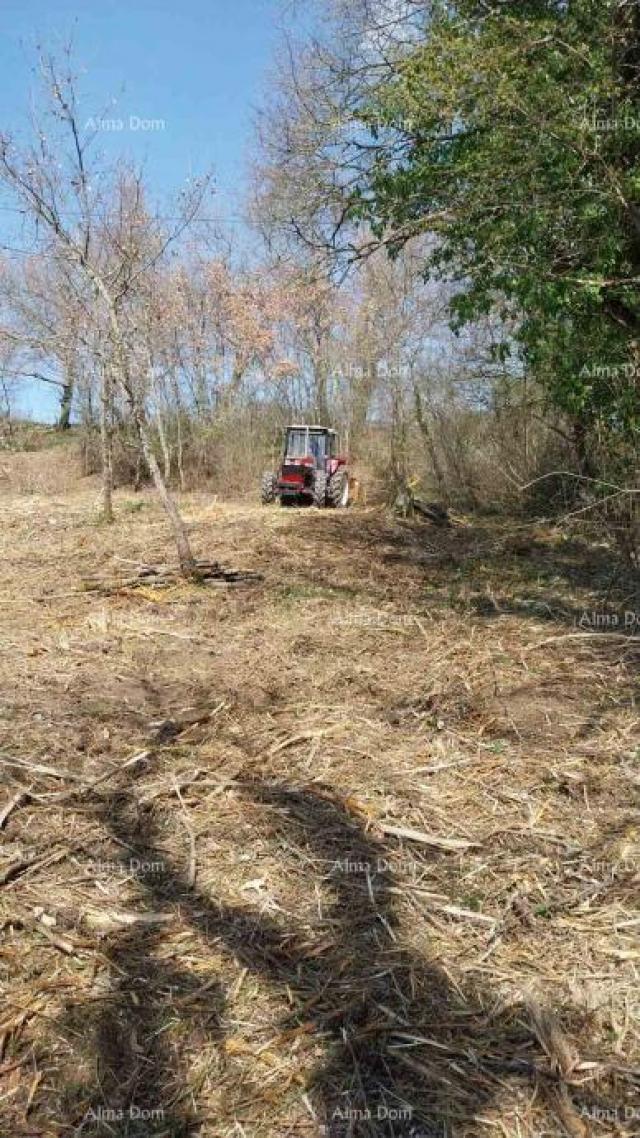 Građevinsko zemljište Prodaja građevinskog zemljišta. Pazin, Trviž