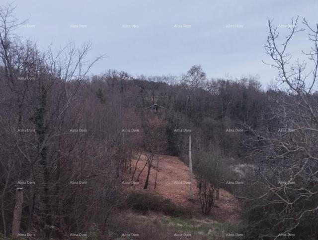 Građevinsko zemljište Prodaja građevinskog zemljišta. Pazin, Trviž