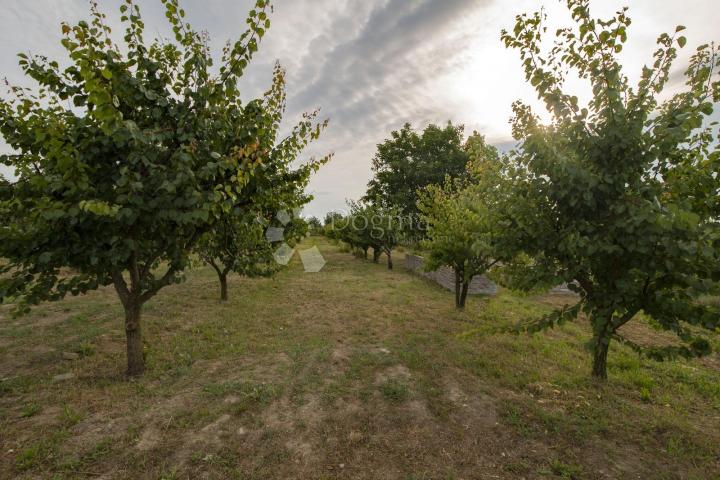 Haus Karanac, Kneževi Vinogradi, Kolodvorska ulica, 353,92m2