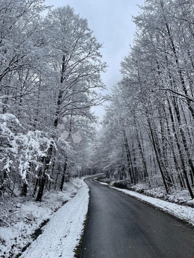 Luksuzno novouređeni Ranč