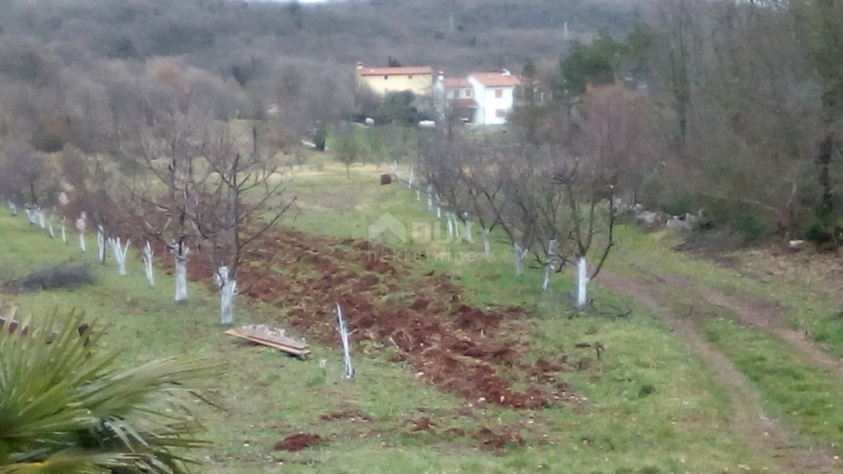 ISTRA, LABIN - Imanje na osami sa samostojećom kamenom kućom za renovaciju