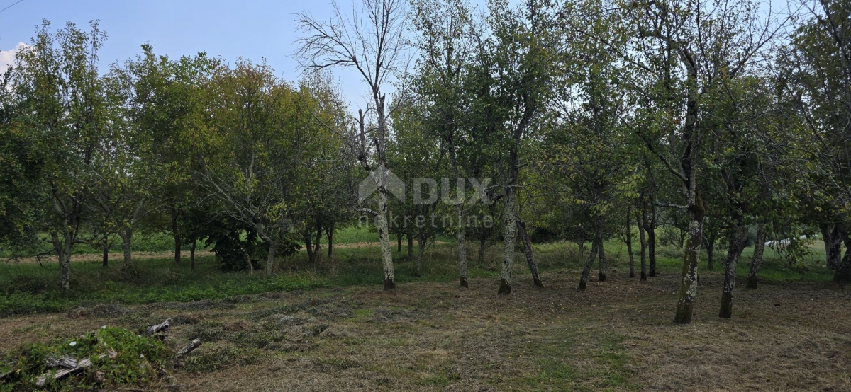 ISTRIA, CEROVLJE - Land with a ruined building