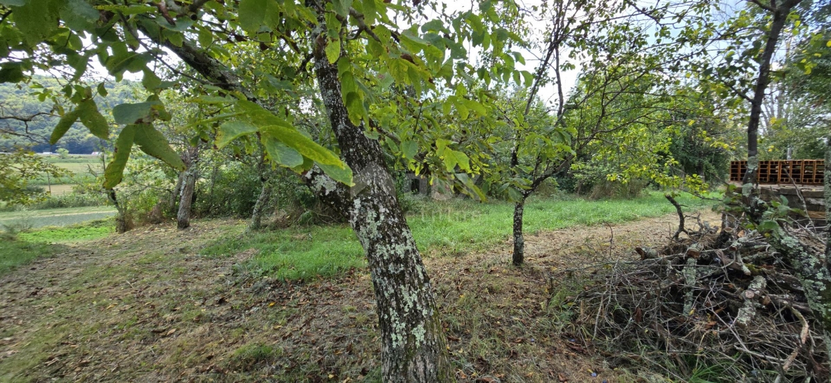 ISTRA, CEROVLJE - Zemljište s ruševnim objektom