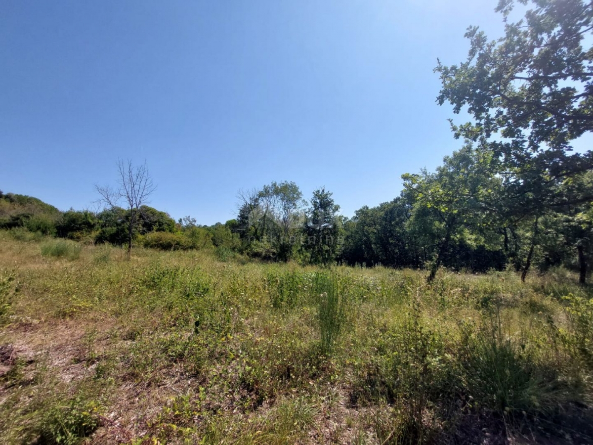 ISTRIA, LABIN - Building land next to untouched nature