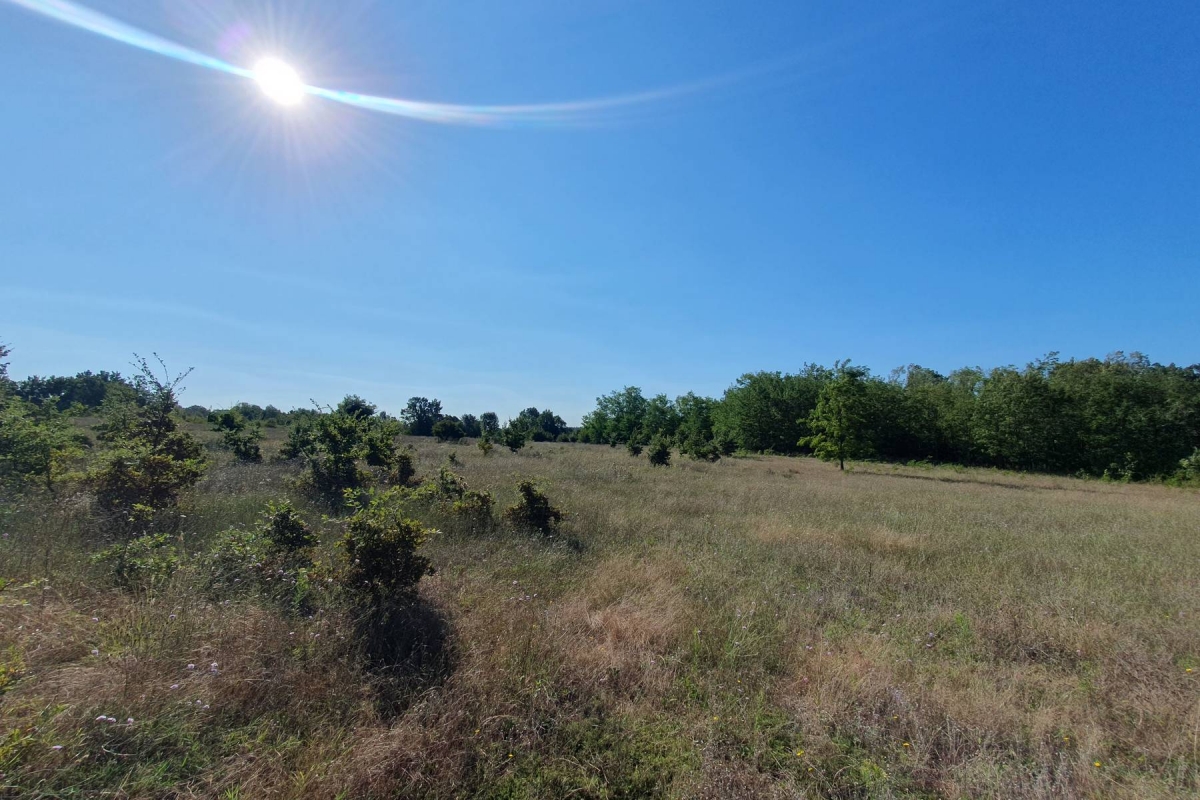 Istra, Baderna, poljoprivredno zemljište 12. 120m2