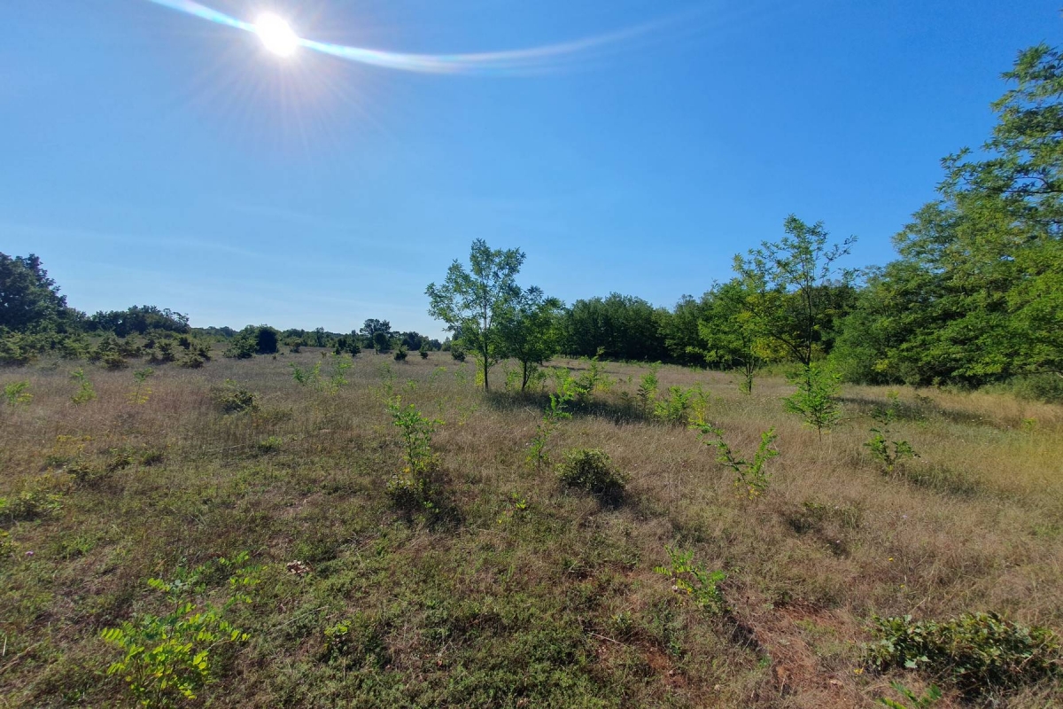 Istra, Baderna, poljoprivredno zemljište 12. 120m2