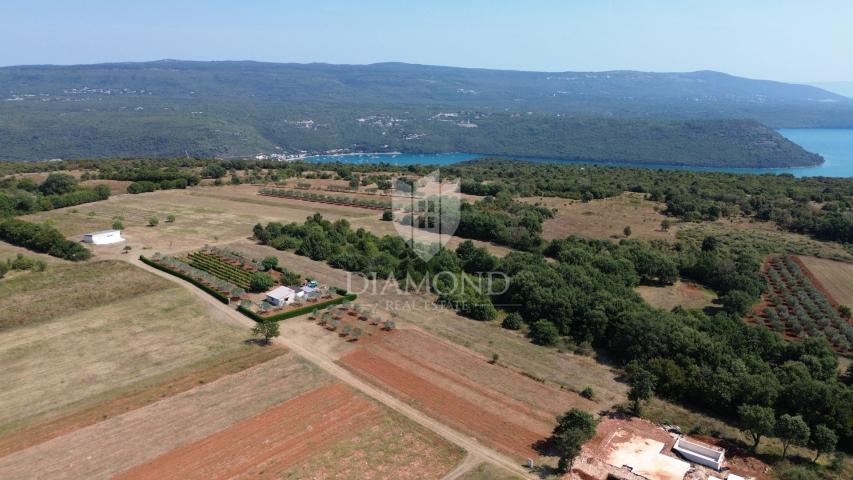 Barban, građevinsko zemljište na atraktivnoj lokaciji