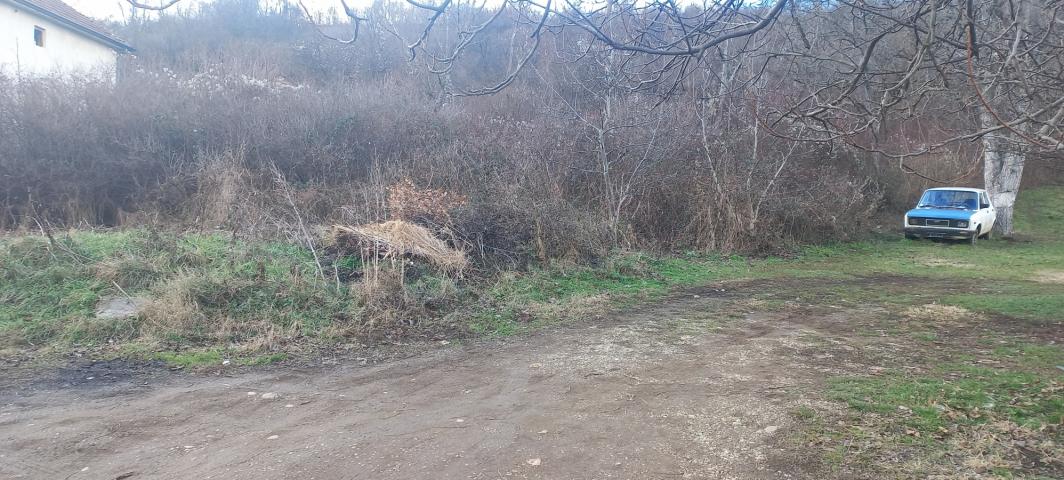 Plac Aleksinac Logoriste