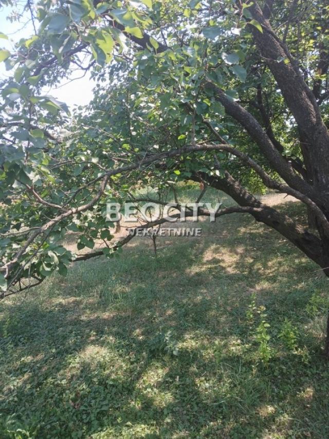 Surčin, Surčin (mesto), , 4a, 48000EUR