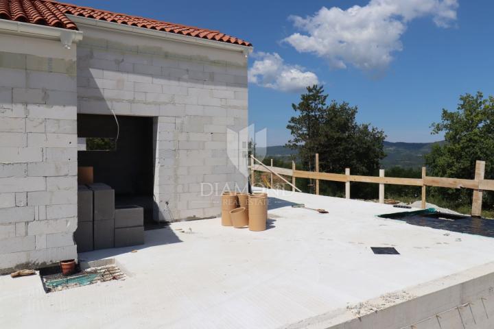 Stop! Beautiful villa with a view of Motovun!