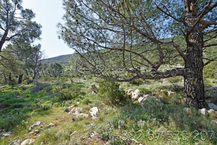 Land with an open view of the sea and the city of Herceg Novi