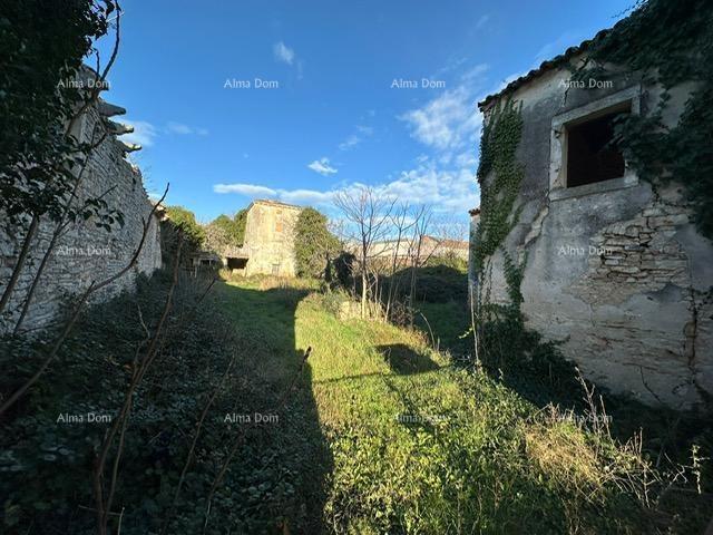 House House ruins in Šišan