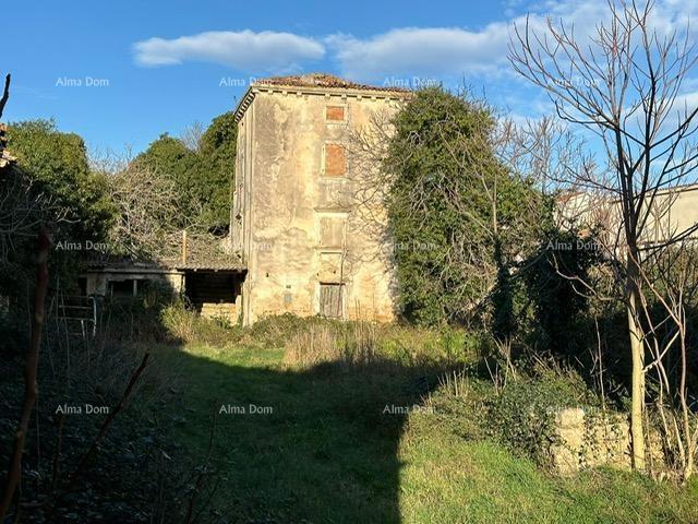 House House ruins in Šišan