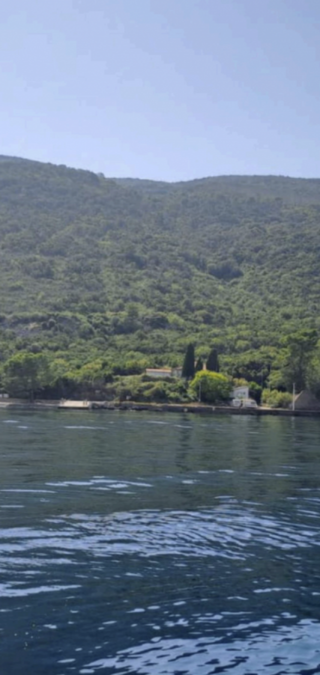 For sale land of 9512m2 in Krasici/Tivat