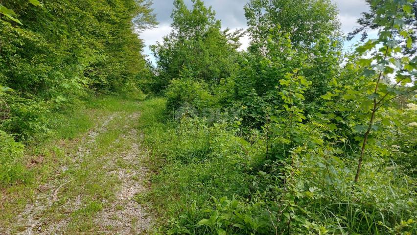 GORSKI KOTAR, FUŽINE – einzigartiges Projekt im Herzen von Gorski kotar, Baugrundstück 3340 m2 mit P