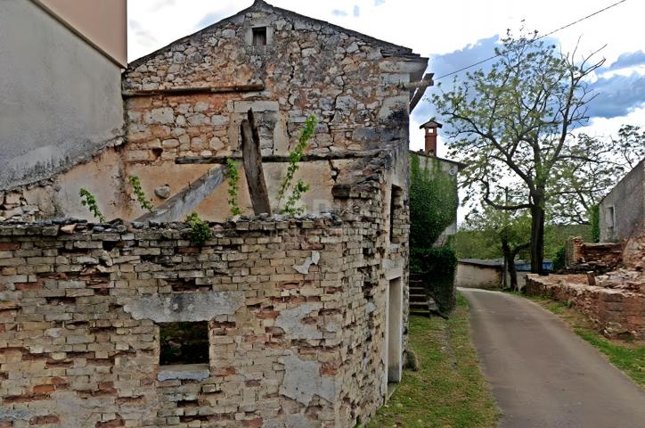 ISTRIA, ŽMINJ - Stone house with a spacious garden