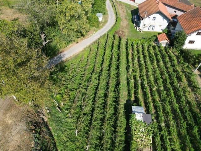 Prodaje se građevinsko zemljište 1936 m2, Vinicka, Prijepolje