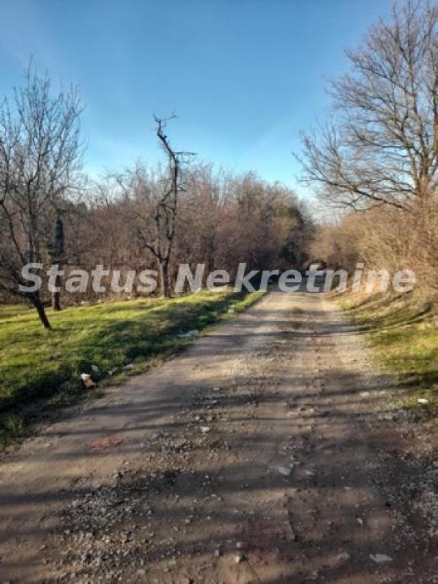 Banoštor-Fantastičan Veliki Građevinski Plac 3000 m2 pored vode za Umetnike i uživanje-065/385 8880