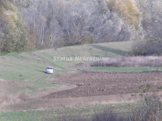 Sremska Mitrovica-Obradivo Poljoprivredno Zemljište 6 Hektara na dve Parcele u Okolini-065/385 8880