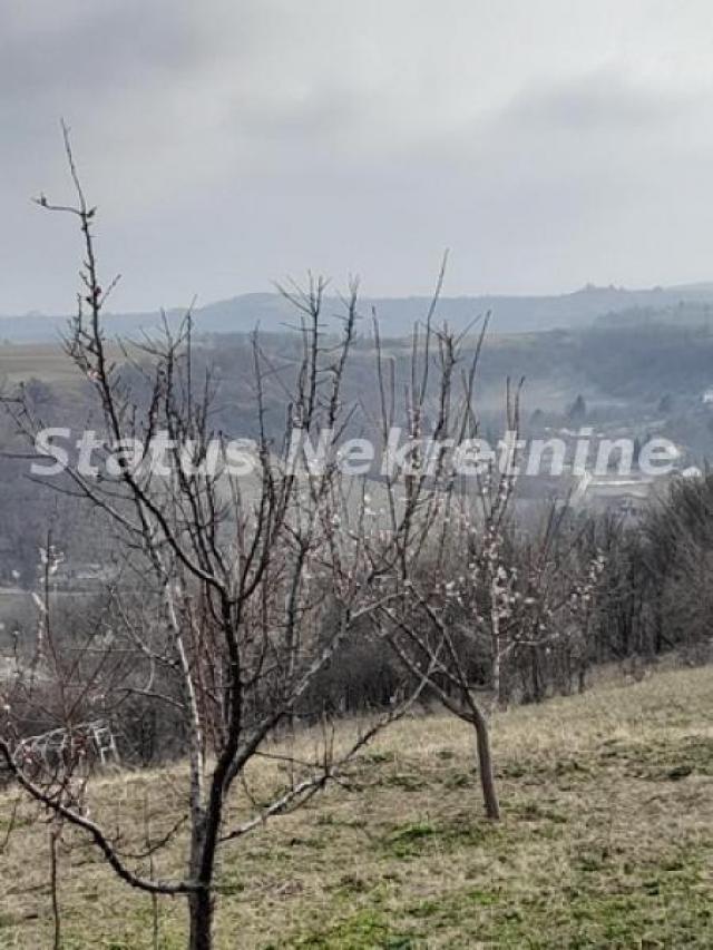 Petrovaradin-Veliki Građevinski Plac 3625 m2 na Platou Vezirca-065/385 8880