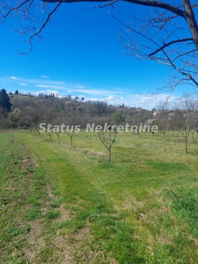 Banoštor-Veliki Građevinski Plac 1980 m2 za kupce sa Posebnim stilom života-065/385 8880