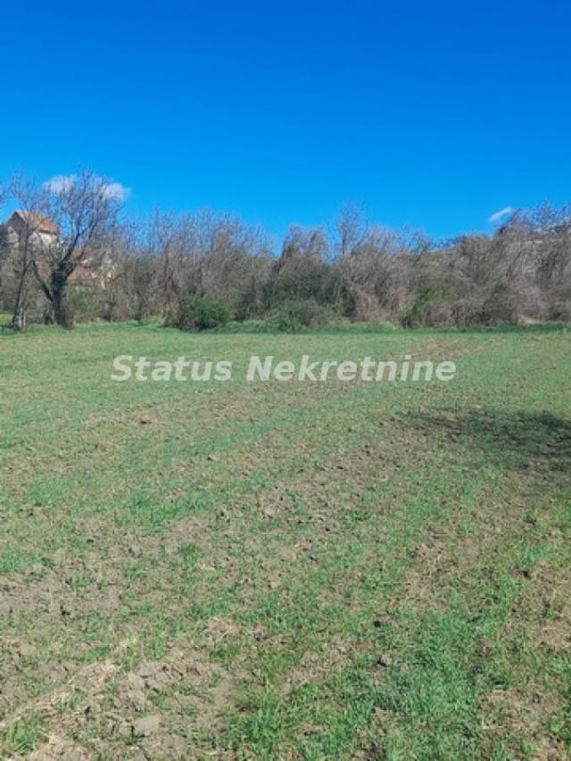 Banoštor-Veliki Građevinski Plac 1980 m2 za kupce sa Posebnim stilom života-065/385 8880