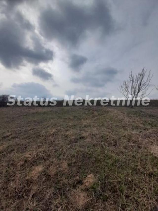 Petrovaradin-Veliki Građevinski Plac 3625 m2 na Platou Vezirca-065/385 8880