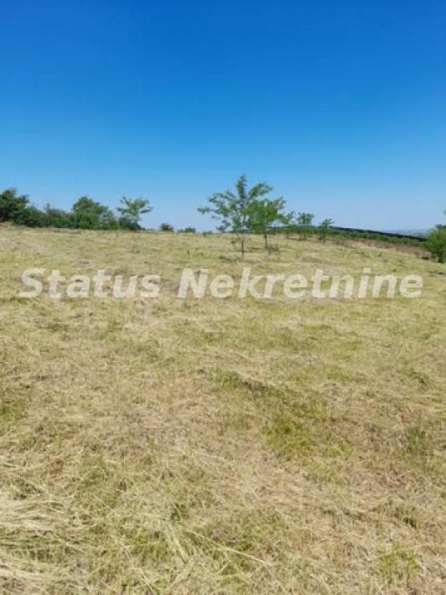 Petrovaradin-Građevinski Plac 6465 m2 na vrhu Alibegovca za Hotele ili Sportske sadržaje-065/385 888