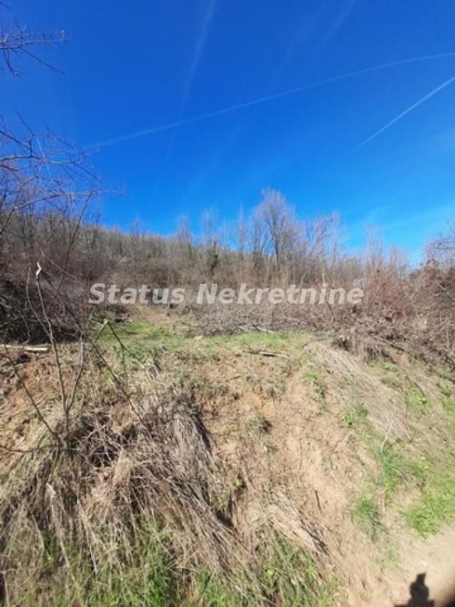 Sremski Karlovci-Fantastičan Osunčan plac 3 hektara iz 3 parcele sa pogledom za Uživanje-065/385 888