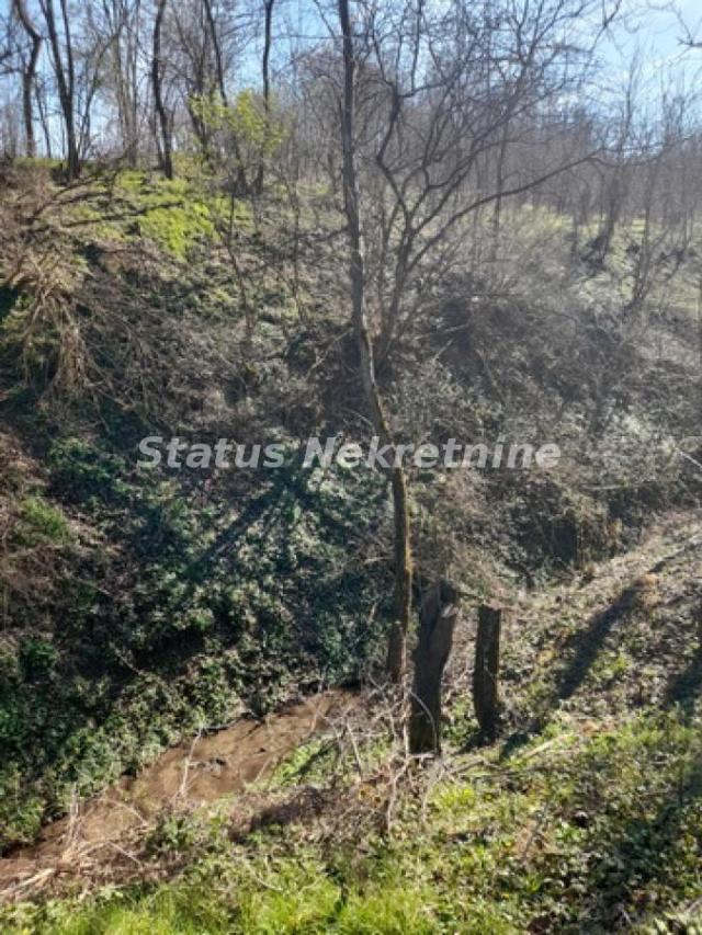 Sremski Karlovci-Fantastičan Osunčan plac 3 hektara iz 3 parcele sa pogledom za Uživanje-065/385 888