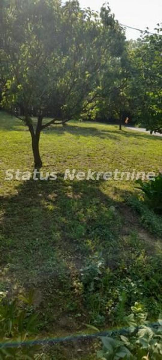 Sremska Kamenica- Starija kuća u blizini Rumskog puta 435 m2-065/385 8880