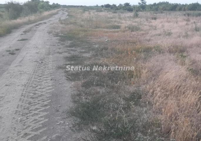 Futog- Plac 7300 m2 na Glavnom Magistralnom putu za Bačku Palanku-065/385 8880