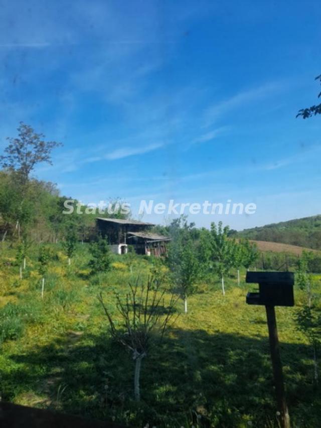 Sremski Karlovci-Fantastičan Osunčan plac 3 hektara iz 3 parcele sa pogledom za Uživanje-065/385 888