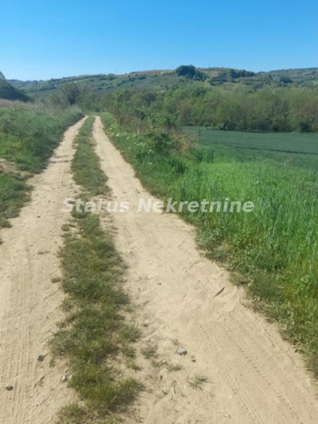 Sremski Karlovci-Velika Parcela 14715 m2(3820 m2+10900 m2)iz dve susedne parcele-065/385 8880