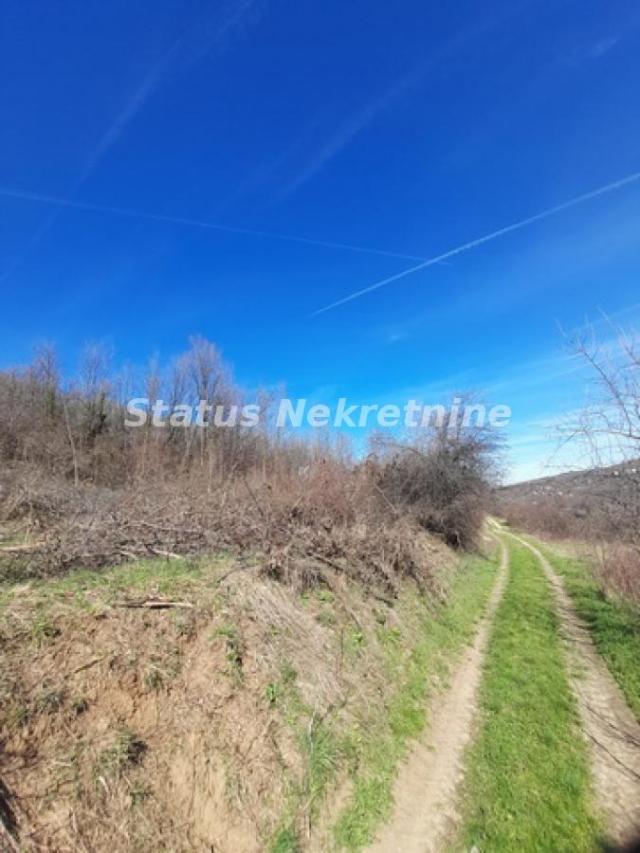 Sremski Karlovci-Fantastičan Osunčan plac 3 hektara iz 3 parcele sa pogledom za Uživanje-065/385 888